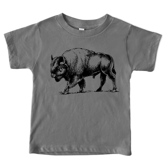 Bison Sketch