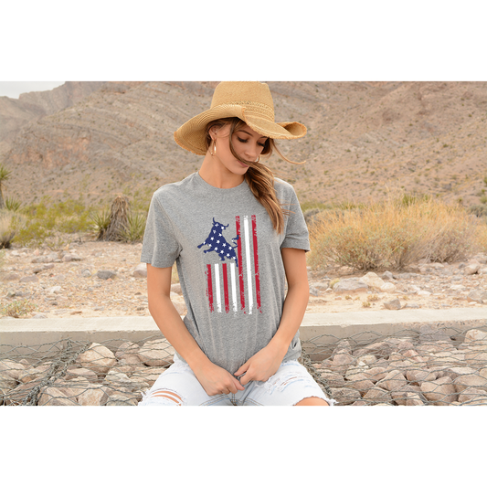 Rodeo American Flag T-Shirt