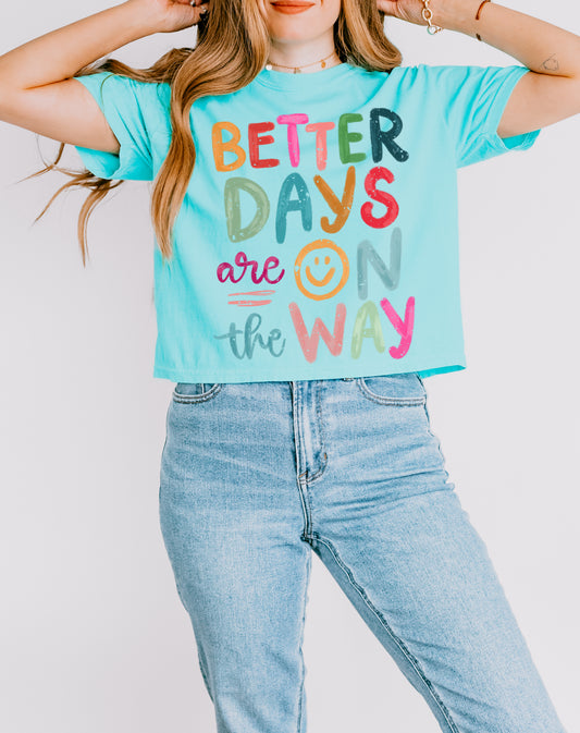 Better Days Are On the Way - Comfort Colors