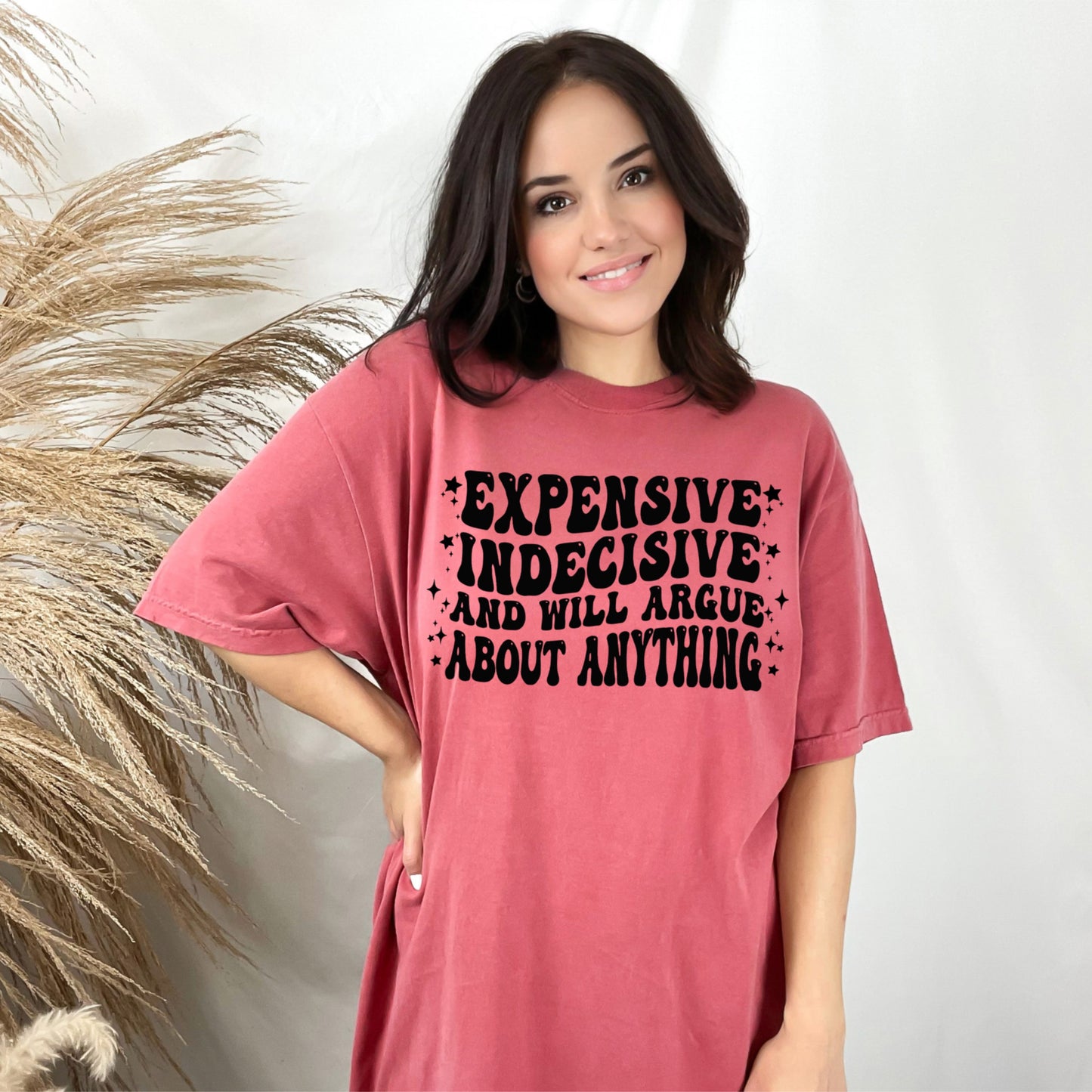 Expensive Indecisive and Will Argue Tee